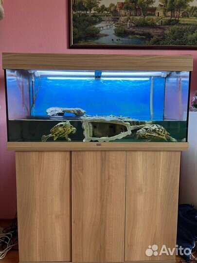 Террариум для черепахи