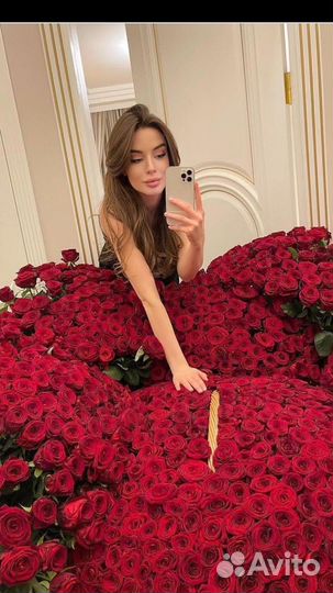 Доставка розы