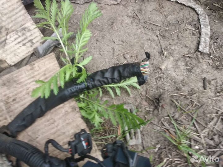 Коса проводки Ford Fokus2 1.6 бензин 04-11