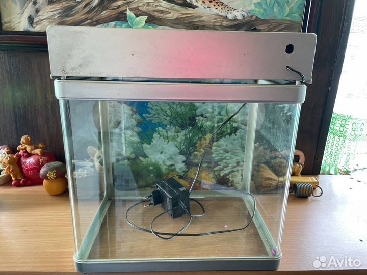 Аквариум