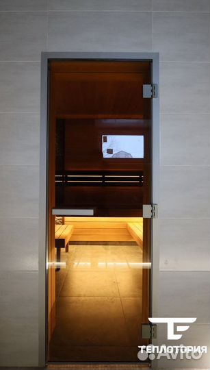 Стеклянная дверь 2000х800