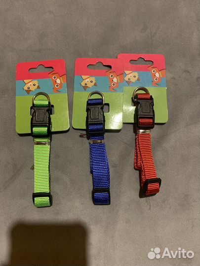 Ошейник и поводок для животных