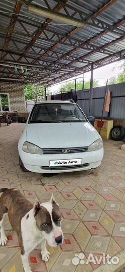 LADA Kalina 1.6 МТ, 2011, 300 126 км