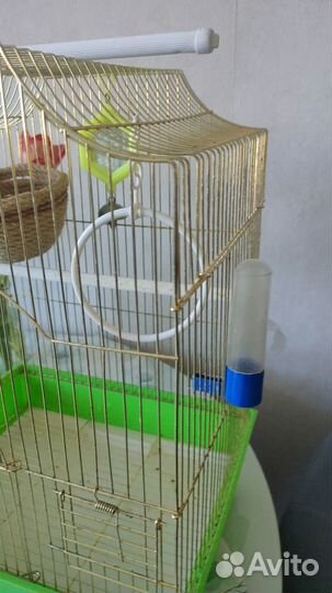 Клетка для птиц бу