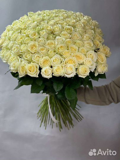 Розы Букеты Цветы Роза Букет