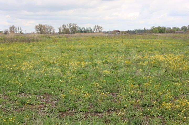 Участок 10 сот. (СНТ, ДНП)