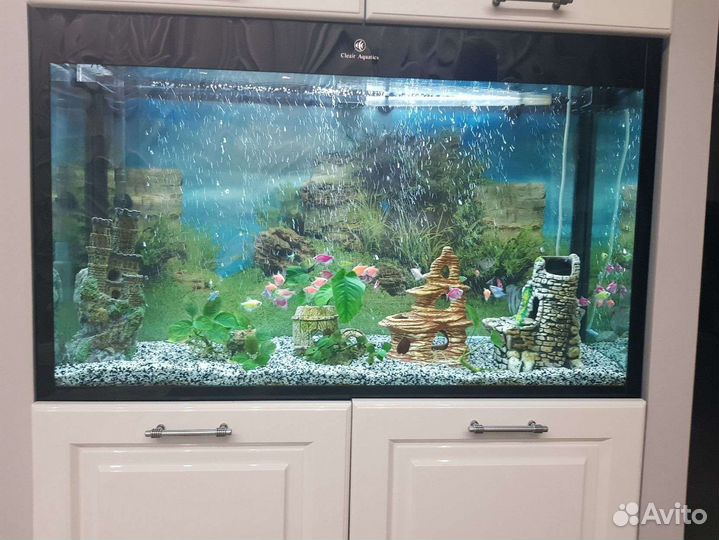 Обслуживание аквариумов