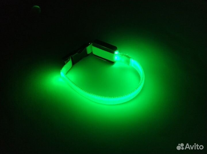 Светящийся ошейник для мелких пород собак