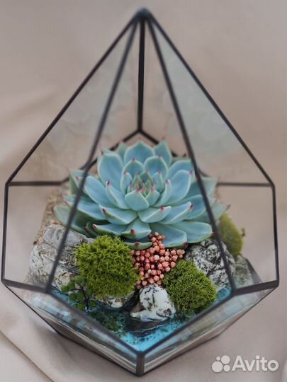 Флорариум в наличии