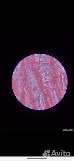 Микроскоп xsp-02