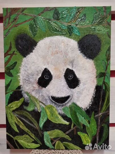 Панда обыкновенная