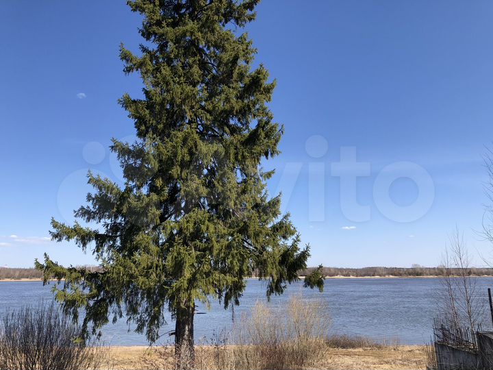 Участок 1,18 га (ИЖС)