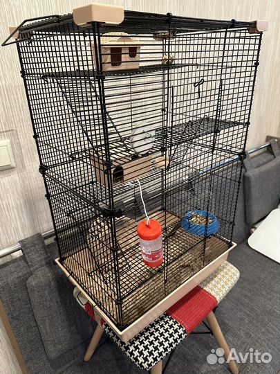 Джунгарские хомяки с клеткой