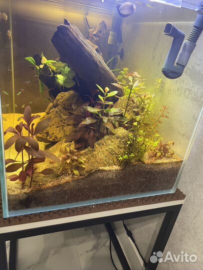Аквариум