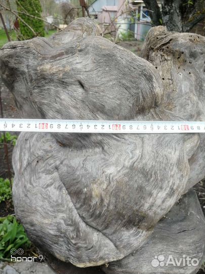 Кап березовый