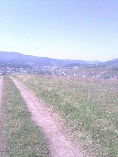 Участок 3 га (СНТ, ДНП)