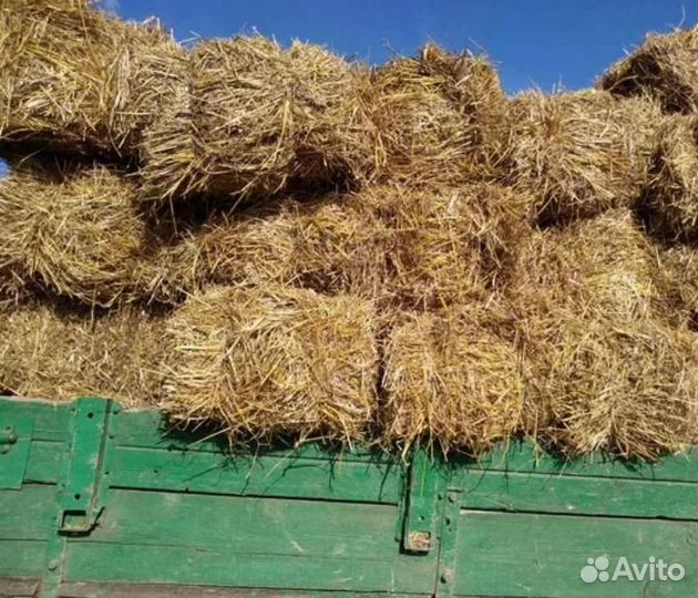 Солома в брикетах