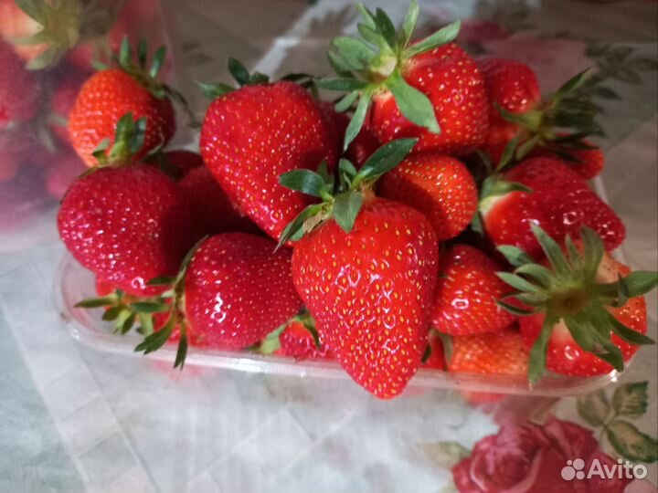 Клубника свежая домашняя