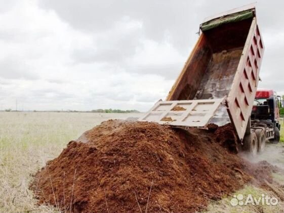 Конский навоз