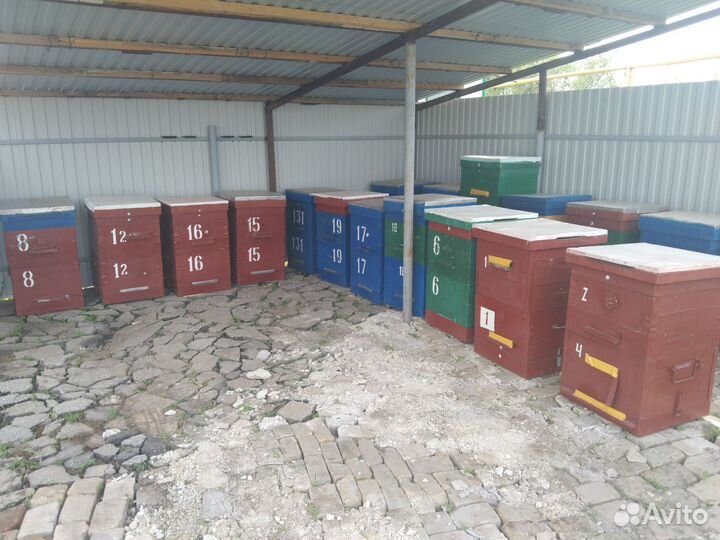 Улей для пчел