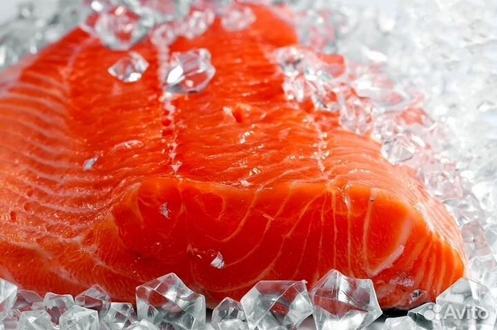 Рыбный магазин с ассортиментом для гурманов