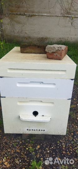 Продается пасека