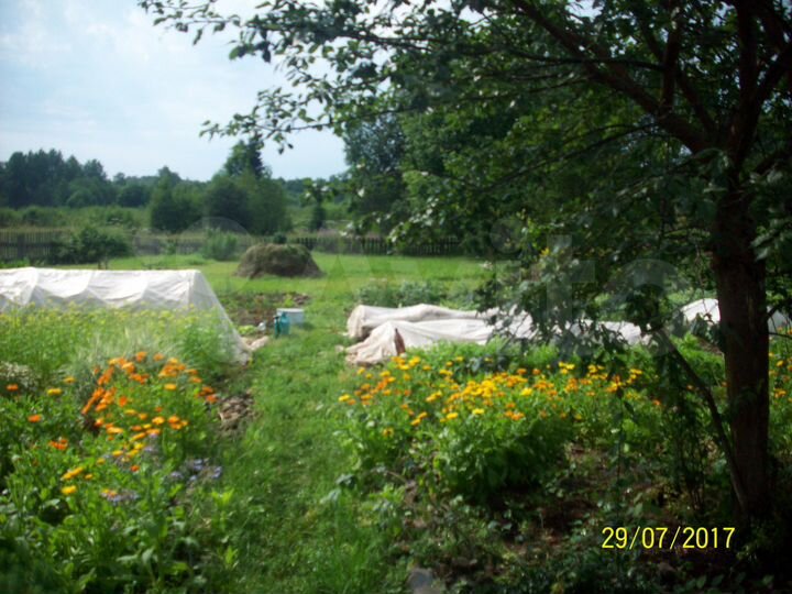 Дом 65 м² на участке 30 сот.