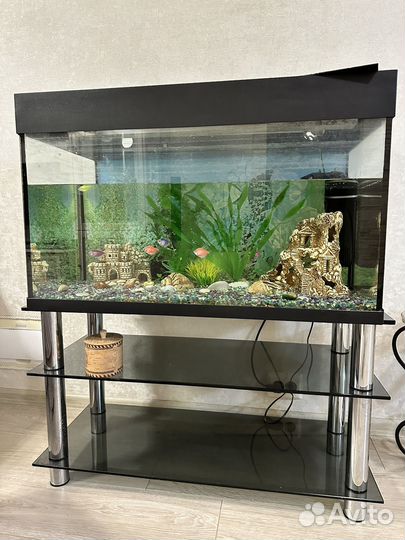 Аквариум с тумбой 160л