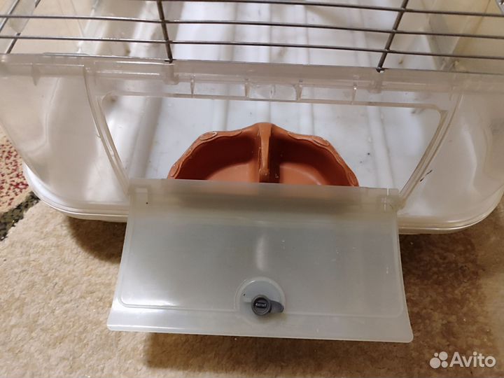 Клетка Германия