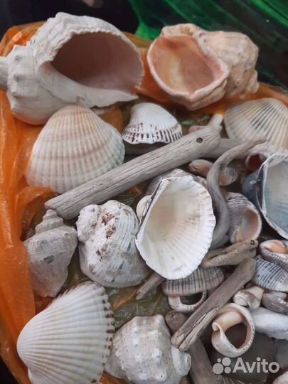 Грунт для аквариума