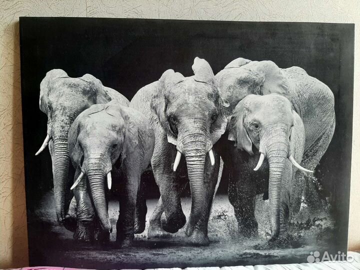 Плакаты постеры