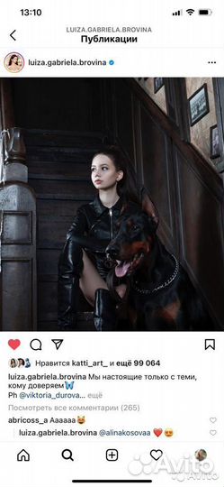 Фотосессия с доберманом, клипы, селебрити и брэнды