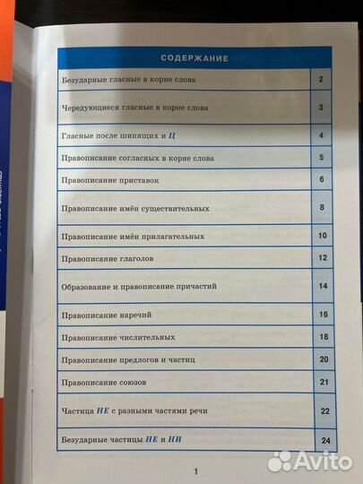 Русский язык. Орфография