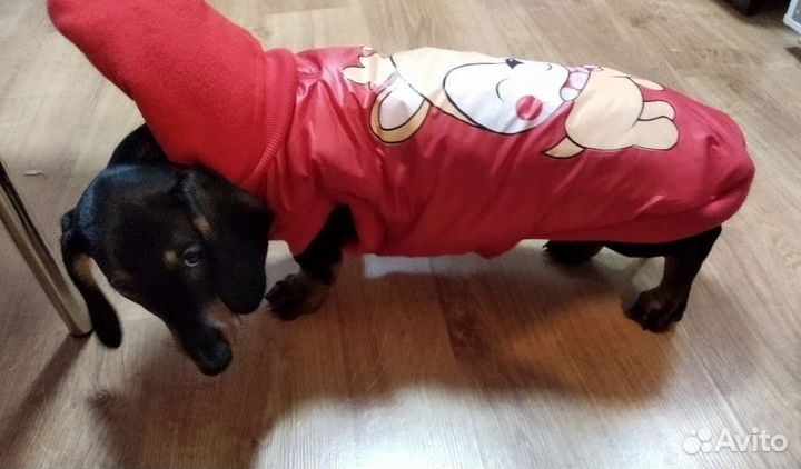 Кофта для собак мелких пород