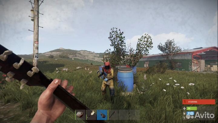 Rust (Steam)