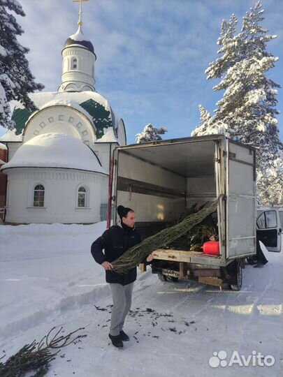 Грузоперевозки грузчики переезды