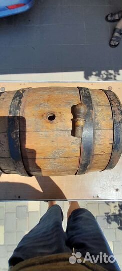 Бочёнок дубовый