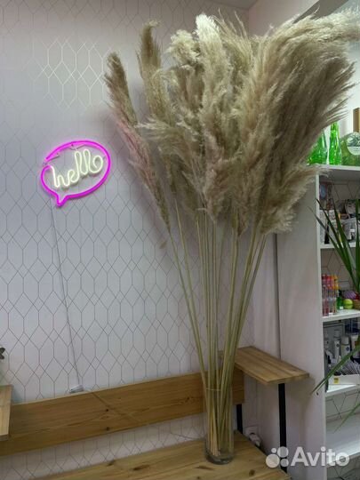 Пампасная трава