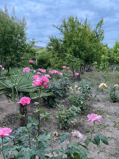 Дача 90 м² на участке 10 сот.