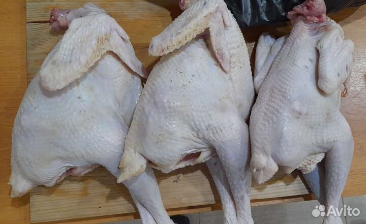 Суповые (бульонные) тушки петухов. Мясо кур