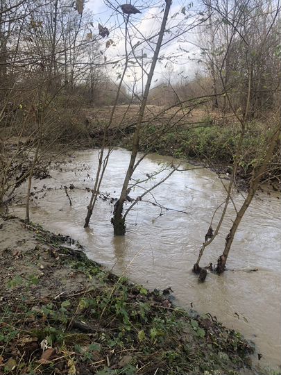 Участок 2,06 га (СНТ, ДНП)