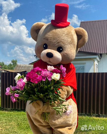 Поздравление от мишки тедди Брянск