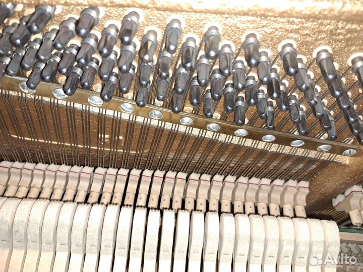 Пианино Alexander Herrmaann