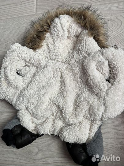 Одежда для собак