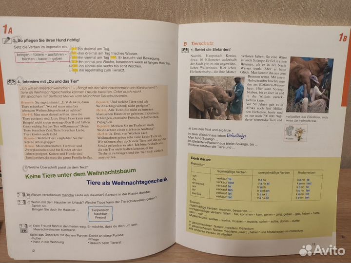 Учебники по немецкому языку PingPong Neu 3