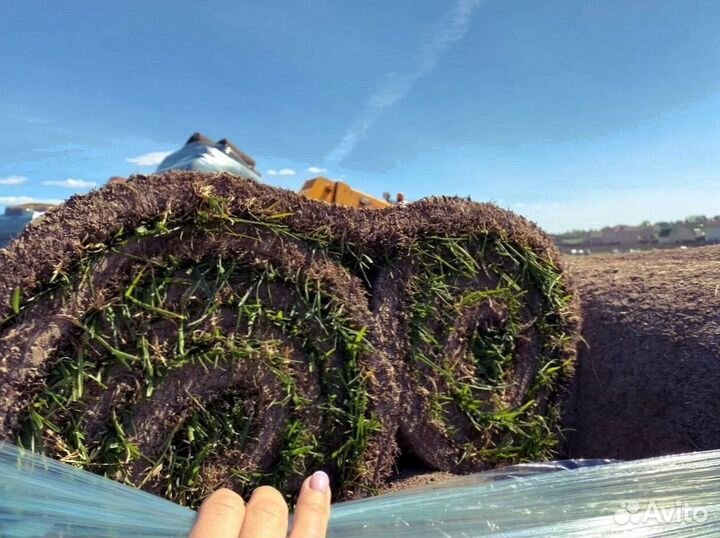 Натуральный рулонный газон