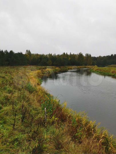 Участок 31,8 га (промназначения)