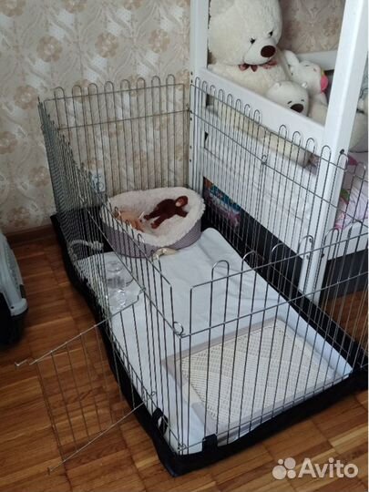 Вольер для собак доставка в Керчь