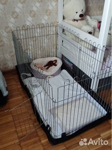 Вольер для собак доставка в Керчь