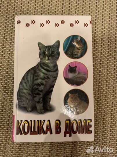 Книга Кошка в доме